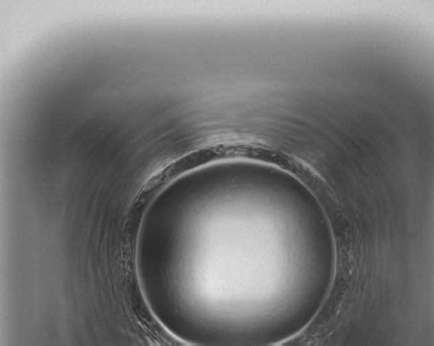 X0000059830775200510281757