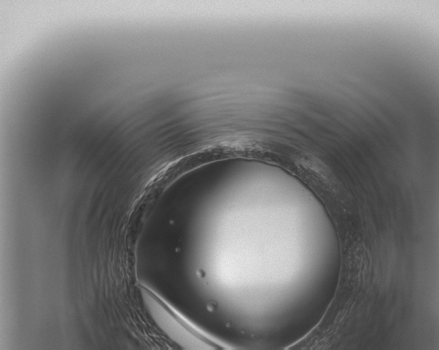 X0000059830776200510281757