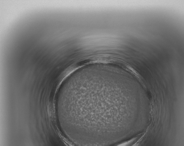 X0000059830779200510281756