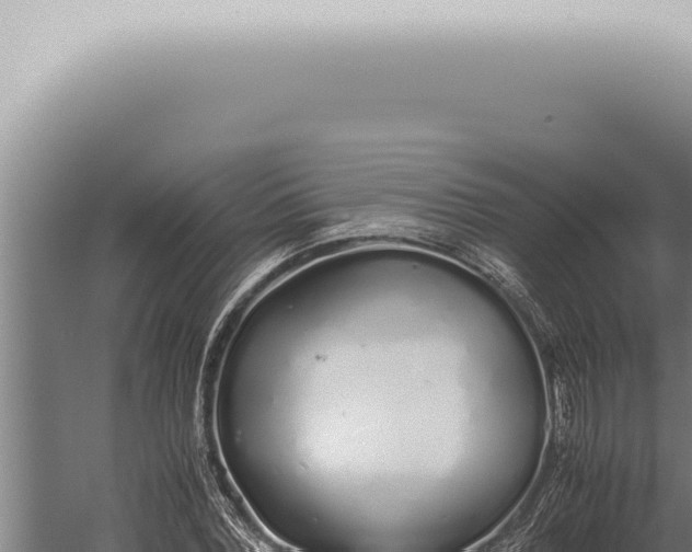 X0000059830780200510281756