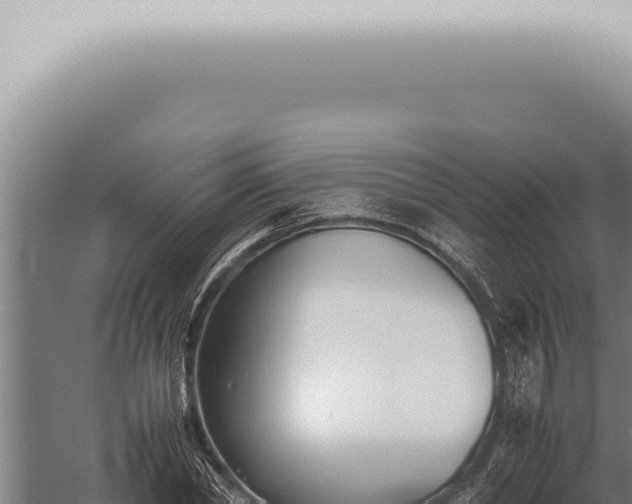 X0000059830782200510281756