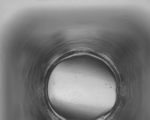 X0000059830783200510281756