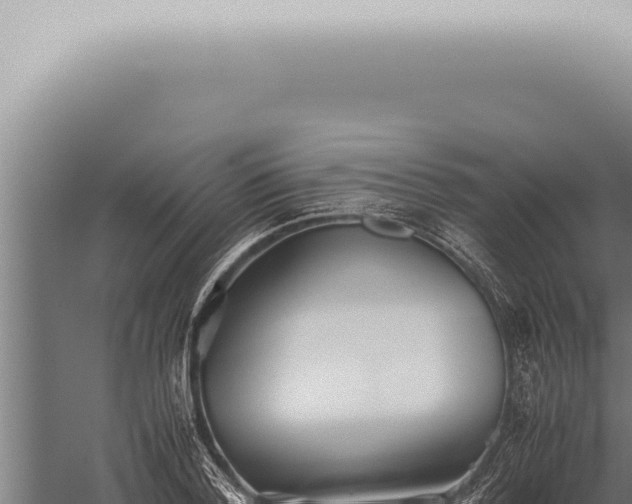 X0000059830788200510281756