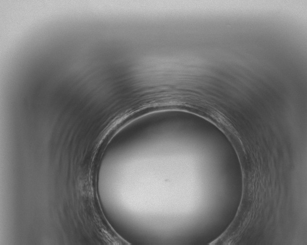 X0000059830789200510281756