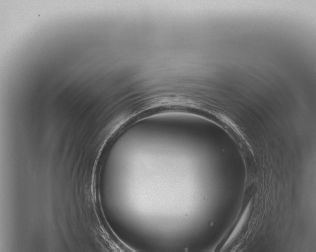 X0000059830791200510281756