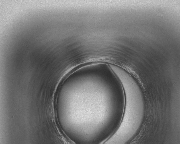 X0000059830792200510281756