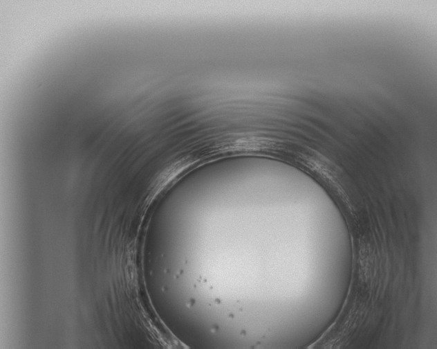 X0000059830794200510281756