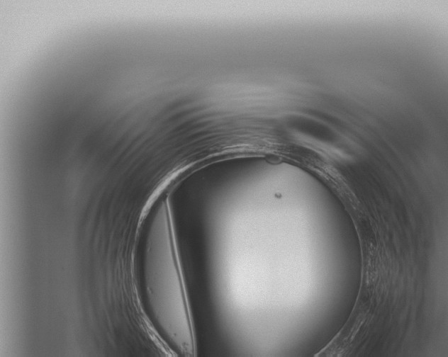 X0000059830796200510281756