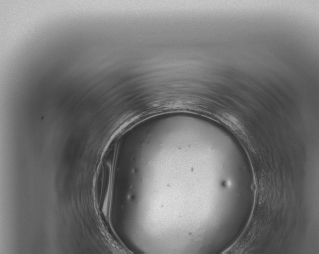 X0000059830798200510281756