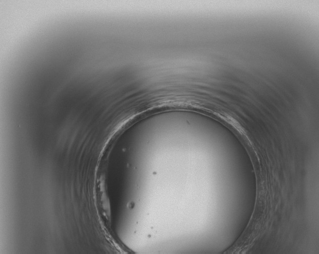 X0000059830799200510281756