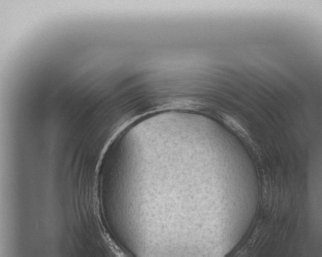 X0000059830800200510281756