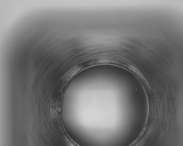 X0000059830801200510281756