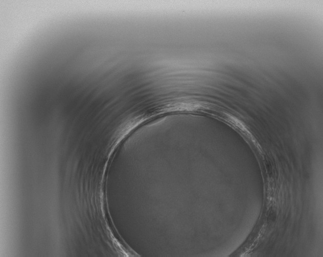 X0000059830802200510281756