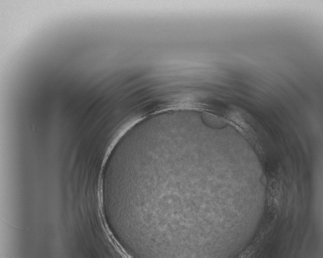 X0000059830804200510281756