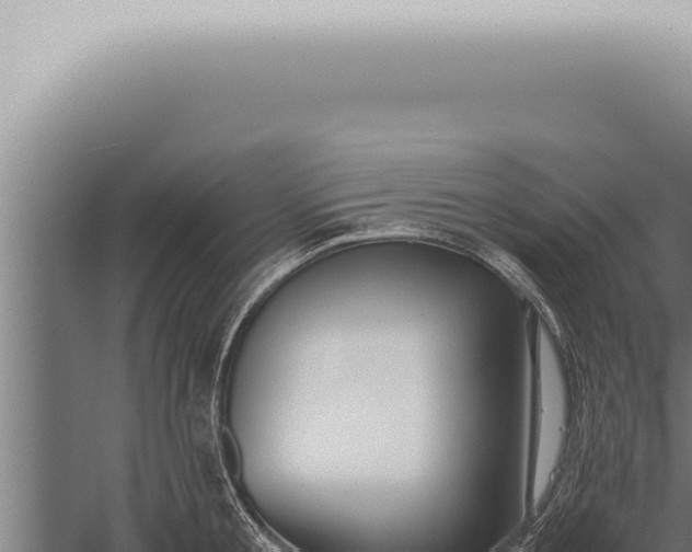 X0000059830805200510281756