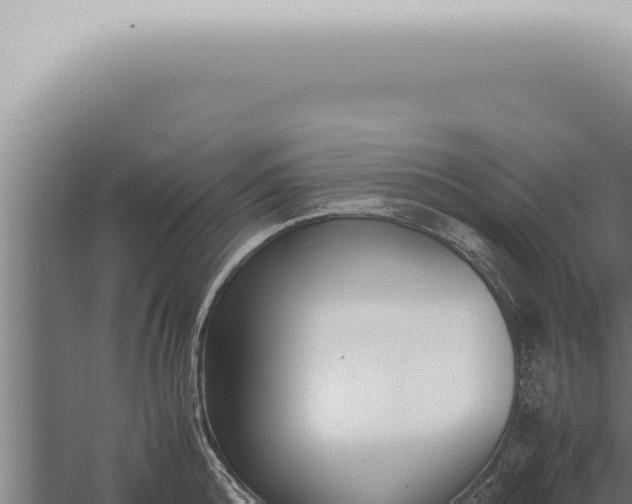 X0000059830808200510281756