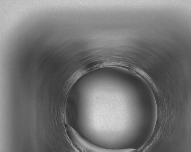 X0000059830809200510281756