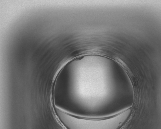 X0000059830812200510281756