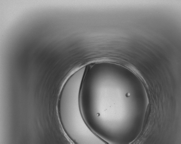 X0000059830813200510281756