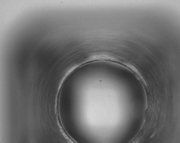 X0000059830815200510281756