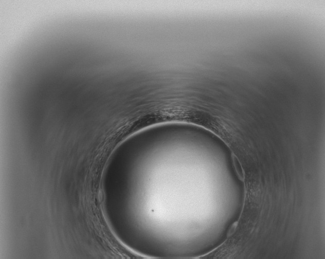 X0000059830817200510281755