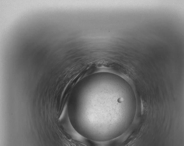 X0000059830818200510281755