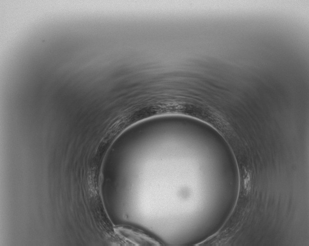 X0000059830819200510281755