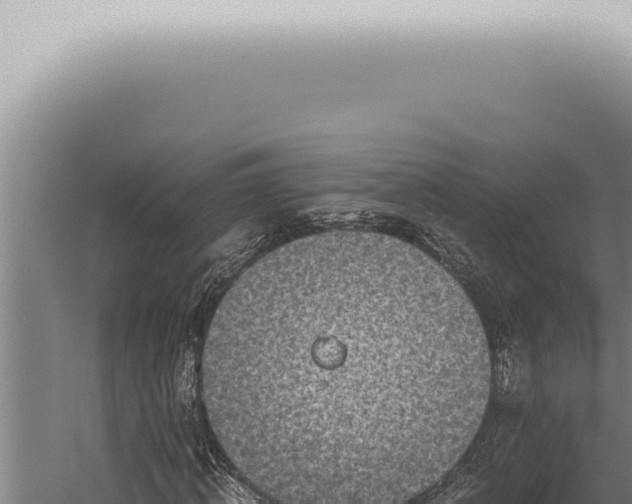 X0000059830820200510281755