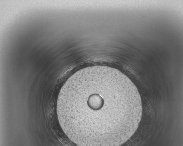 X0000059830824200510281755