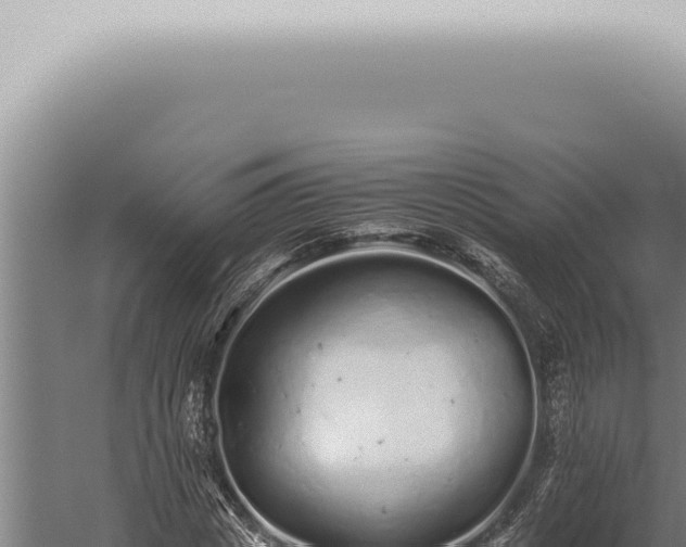 X0000059830825200510281755