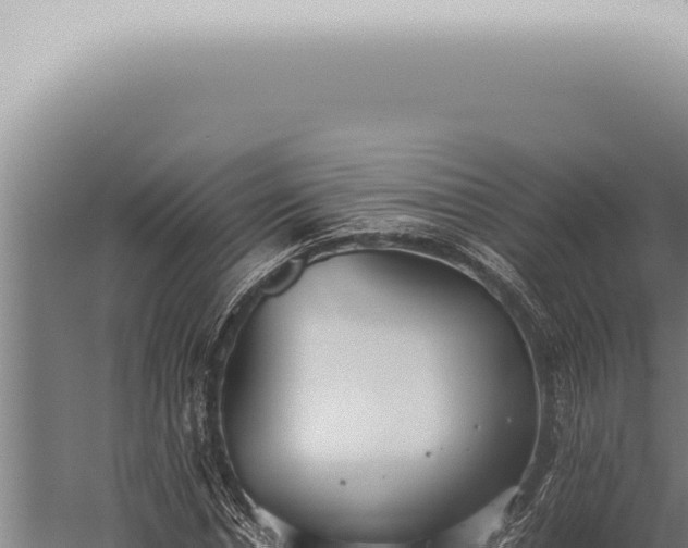 X0000059830826200510281755