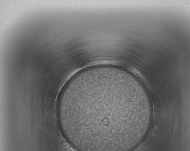 X0000059830828200510281755