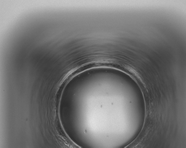 X0000059830829200510281755