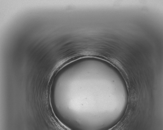 X0000059830831200510281755