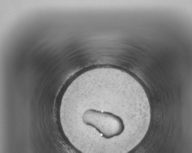 X0000059830832200510281755