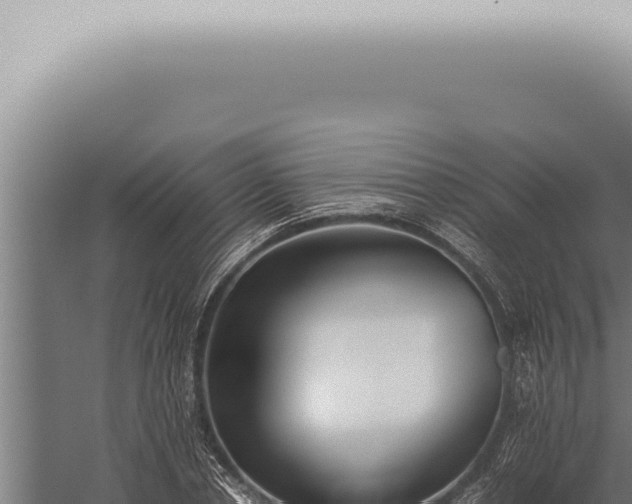 X0000059830834200510281755