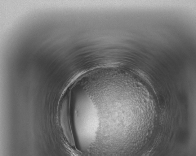 X0000059830835200510281755