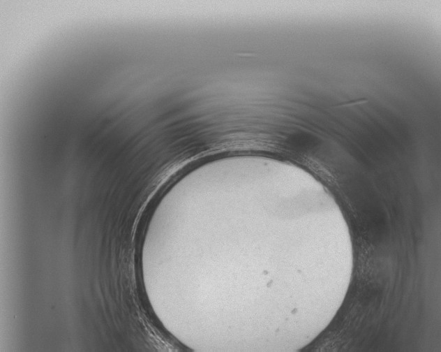 X0000059830836200510281755