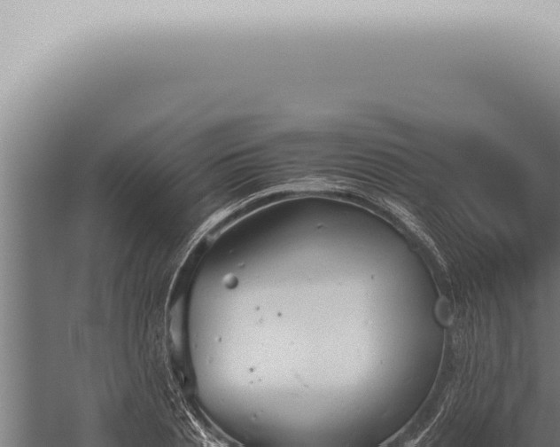 X0000059830837200510281755