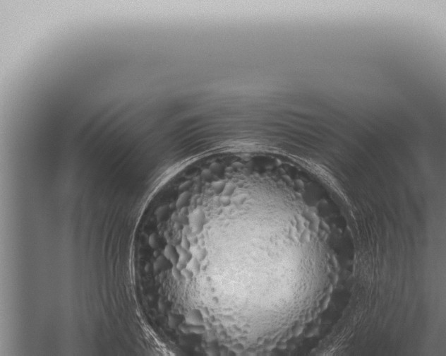 X0000059830839200510281755