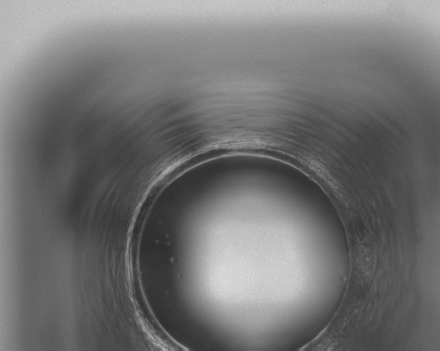 X0000059830840200510281755