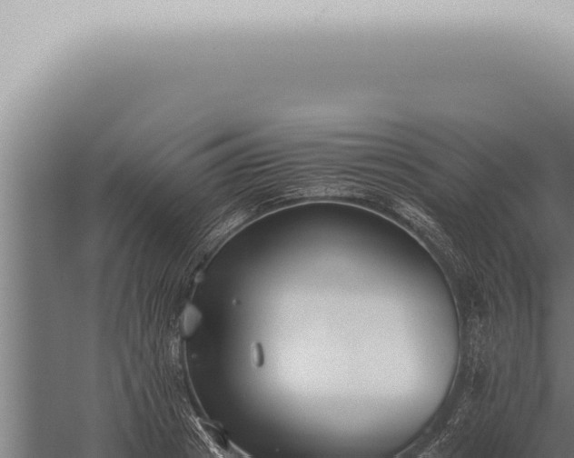 X0000059830841200510281755