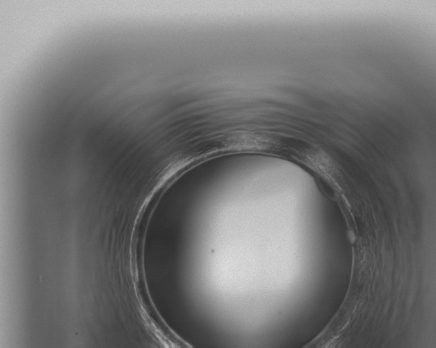 X0000059830843200510281755