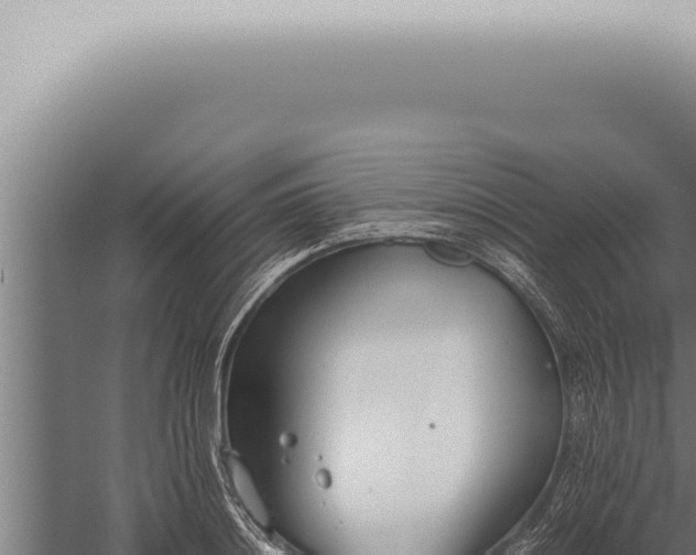 X0000059830844200510281755