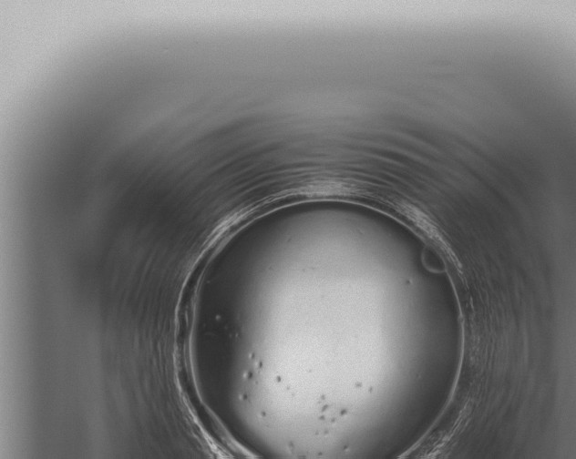 X0000059830845200510281756