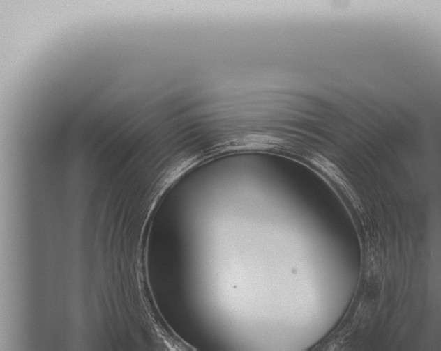 X0000059830850200510281756