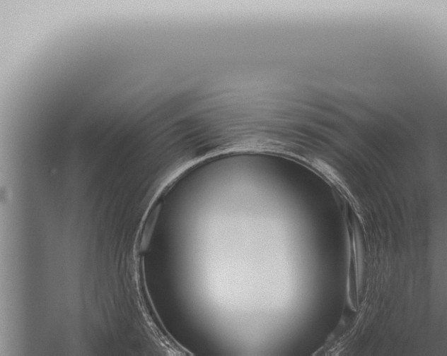 X0000059830854200510281756