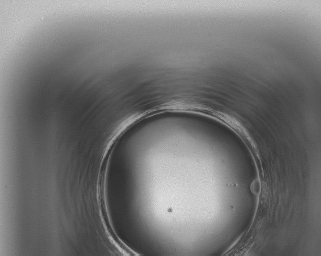 X0000059830855200510281756