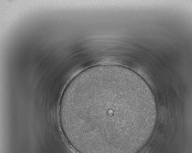 X0000059830856200510281756