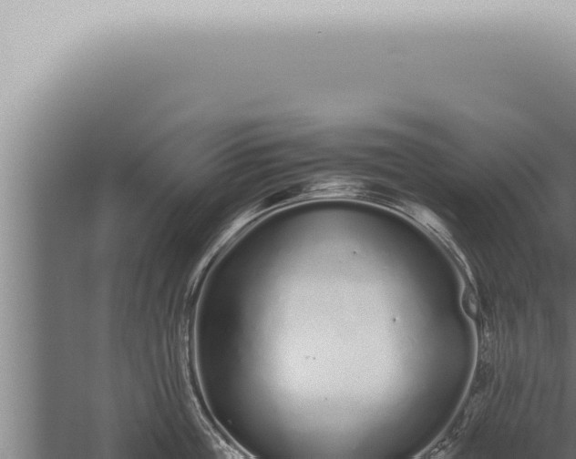 X0000059830859200510281756